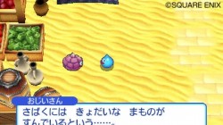 Screenshot for Slime Mori Mori Dragon Quest 3 Daikaizoku to Shippodan - click to enlarge