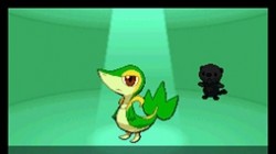 Screenshot for Pokémon Black & White - click to enlarge
