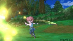 Screenshot for Dragon Quest X Online - click to enlarge