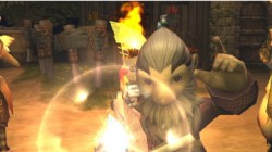 Screenshot for Final Fantasy: Crystal Chronicles - click to enlarge