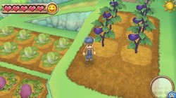 Screenshot for Harvest Moon 3D: A New Beginning - click to enlarge