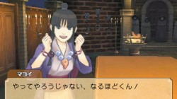 Screenshot for Professor Layton vs Phoenix Wright: Ace Attorney - click to enlarge