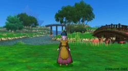 Screenshot for Dragon Quest X Online - click to enlarge