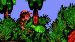 Screenshot for Donkey Kong Country - click to enlarge