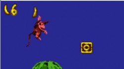 Screenshot for Donkey Kong Country - click to enlarge