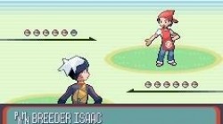 Screenshot for Pokémon Ruby / Sapphire - click to enlarge