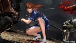 Screenshot for Ninja Gaiden 3: Razor