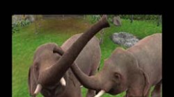 Screenshot for Zoo Resort 3D - click to enlarge