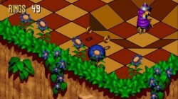 Screenshot for Sonic 3D: Flickies