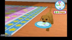 Screenshot for Puppies World 3D - click to enlarge