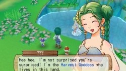 Screenshot for Harvest Moon 3D: A New Beginning - click to enlarge