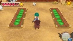 Screenshot for Harvest Moon 3D: A New Beginning - click to enlarge