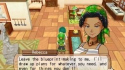 Screenshot for Harvest Moon 3D: A New Beginning - click to enlarge