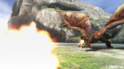 Screenshot for Monster Hunter 3 Ultimate - click to enlarge