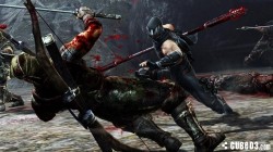 Screenshot for Ninja Gaiden 3: Razor