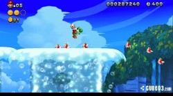 Screenshot for New Super Mario Bros. U - click to enlarge