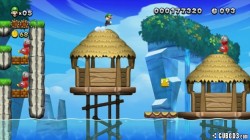 Screenshot for New Super Mario Bros. U - click to enlarge