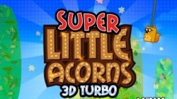 Screenshot for Super Little Acorns 3D Turbo - click to enlarge