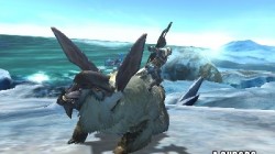 Screenshot for Monster Hunter 4 - click to enlarge