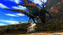 Screenshot for Monster Hunter 4 - click to enlarge