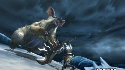 Screenshot for Monster Hunter 4 - click to enlarge