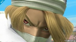 Screenshot for Super Smash Bros. for Wii U - click to enlarge