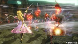 Screenshot for Hyrule Warriors - click to enlarge