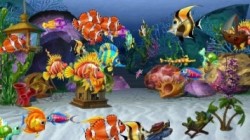 Screenshot for Fishdom H2O: Hidden Odyssey - click to enlarge