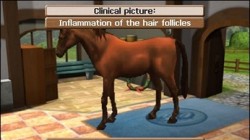 Screenshot for Horse Vet 3D - click to enlarge