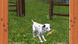 Screenshot for Me & My Pets 3D - click to enlarge