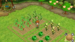 Screenshot for Return to PopoloCrois: A Story of Seasons Fairytale - click to enlarge