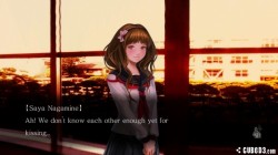 Screenshot for Tokyo Twilight Ghost Hunters - click to enlarge
