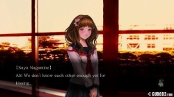 Screenshot for Tokyo Twilight Ghost Hunters - click to enlarge