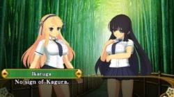 Screenshot for Senran Kagura 2: Deep Crimson - click to enlarge