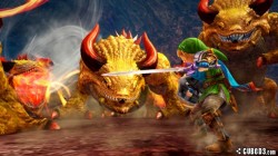 Screenshot for Hyrule Warriors - click to enlarge