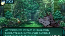 Screenshot for Etrian Odyssey 2 Untold: The Fafnir Knight - click to enlarge