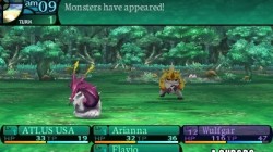 Screenshot for Etrian Odyssey 2 Untold: The Fafnir Knight - click to enlarge