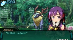 Screenshot for Etrian Odyssey 2 Untold: The Fafnir Knight - click to enlarge