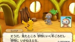 Screenshot for Pokémon Super Mystery Dungeon - click to enlarge