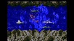 Screenshot for Ecco the Dolphin - click to enlarge
