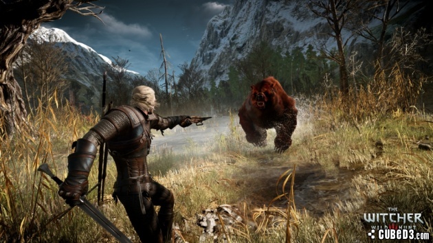 Screenshot for The Witcher 3: Wild Hunt on PlayStation 4