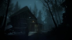 Screenshot for Until Dawn - click to enlarge