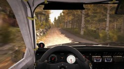 Screenshot for DiRT Rally - click to enlarge