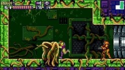 Screenshot for Metroid Fusion - click to enlarge