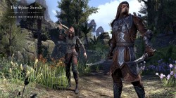 Screenshot for The Elder Scrolls Online: Tamriel Unlimited - Dark Brotherhood - click to enlarge