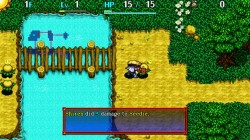 Screenshot for Shiren the Wanderer: The Tower of Fortune and the Dice of Fate - click to enlarge