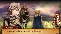 Screenshot for Fire Emblem Fates: Revelation - click to enlarge