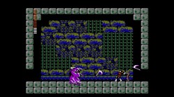 Screenshot for Castlevania II: Simon