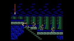 Screenshot for Castlevania II: Simon