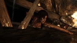 Screenshot for Tomb Raider - click to enlarge